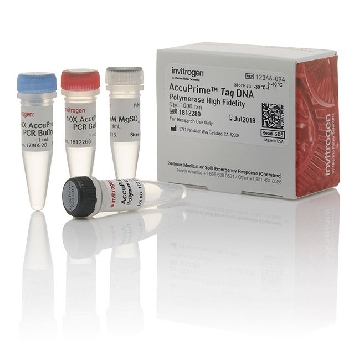 ACCUPRIME TAQ HIFI 1000 RXNS，12346094，Invitrogen