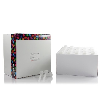 DYE & BIOTN REMV SPN CLM,2 ML 50 COLUMNS，A44299，赛默飞世尔