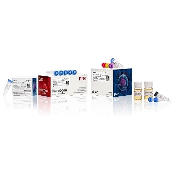 BAC-TO-BAC C-HIS TOPO EXP SYS COMBO KIT，A11100，Invitrogen