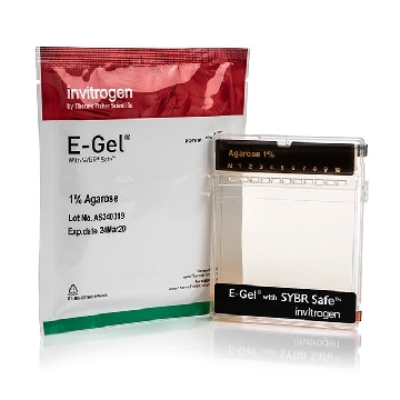 E-GEL SYBR SAFE 1% 10 GELS，A42100，Applied Biosystems