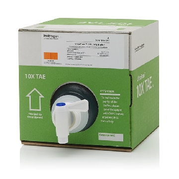 TAE BUFFER, 10X 4000ML，15558026，Invitrogen