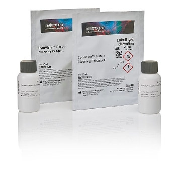 Probes CYTOVISTA TI CLEAR REAGT KIT30 1 SET，V11322，赛默飞世尔