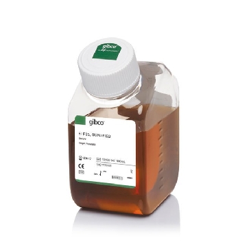 FBS HI AUSTRALIAN ORIGIN 500ML，10100147，Invitrogen