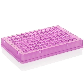 THERMO-FAST 96 SKIRTED PLATE PURPLE PLATE, BLACK GRID REF，AB0800PL，赛默飞世尔