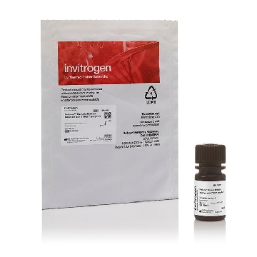 PROLONG DIAMOND WITH SYTOX DR 10 mL，P36991，Applied Biosystems