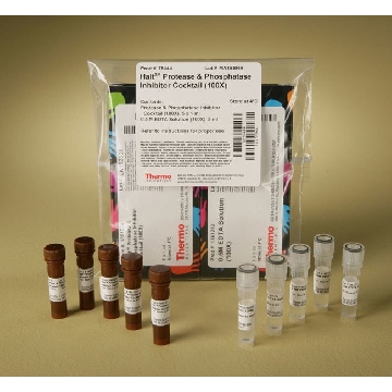 HALTPROTEASE & PHOSPHATASE INHIBITOR COCKTAIL (100X),，78444，赛默飞世尔