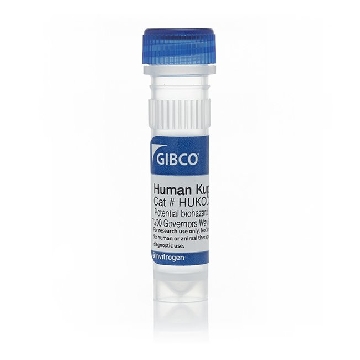 CRYO HUMAN KUPFFER CELLS 1 MILLION，HUKCCS，Invitrogen