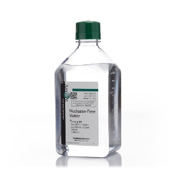 NUCLEASE-FREE WATER 1000 ML EACH，AM9932，Applied Biosystems