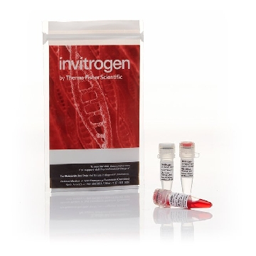 ANZA 4 BPII EA，IVGN0044，Invitrogen