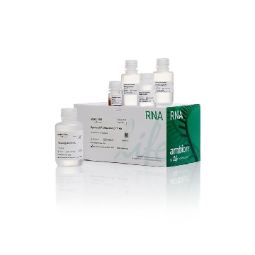 Transfer SKU DYNABEADS MRNA DIRECT KIT KIT，61011，赛默飞世尔