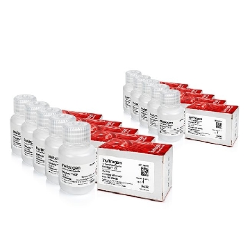 RNALATER-ICE 10 X 25 ML EACH，4427575，Applied Biosystems