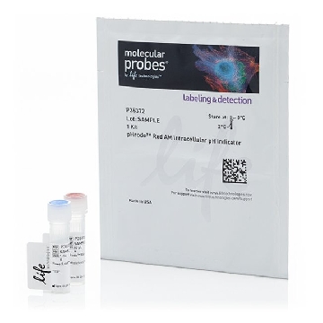 PHRODO RED AM PH INDICATOR KIT，P35372，Invitrogen