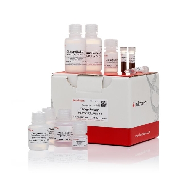 CST PLASMID MINI KIT 50，CS10100，Invitrogen
