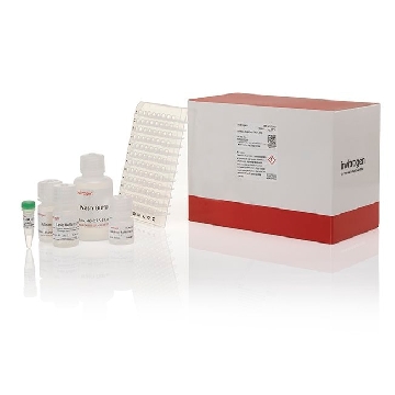 MRNA CATCHER PLUS 96 .，K157002，Invitrogen