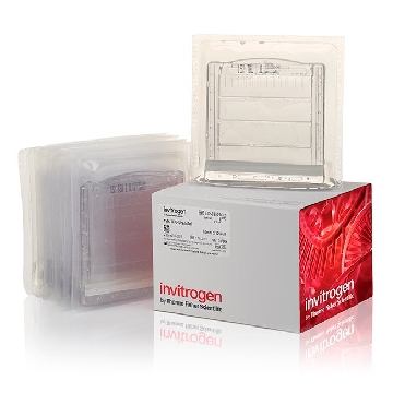 15% TBE-UREA GEL 1.0MM 12W 10 PER BOX，EC68852BOX，Invitrogen