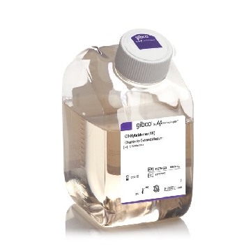 CD HYBRIDOMA MEDIUM 1000ML，11279023，Invitrogen