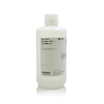 PB 1STEP TRANSFER BUFFER 250ML 250 ML，PB7100，赛默飞世尔