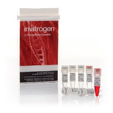 ANZA 25 PAEI EA，IVGN0256，Invitrogen