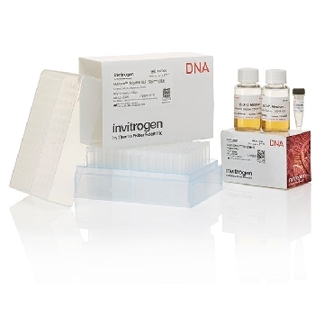 MLTSHT STRPWLL BL21 STAR (DE3) EA，C609601，Invitrogen