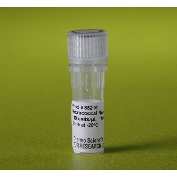 MICROCOCCAL NUCLEASE, 150 UL. EA，88216，赛默飞世尔