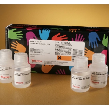 YEAST DNA EXTRACTION KIT EA，78870，赛默飞世尔