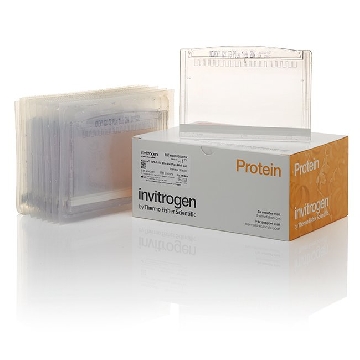10% TG PLUS WIDE FORMAT 12+2W 10 PER BOX，WXP01012BOX，Invitrogen