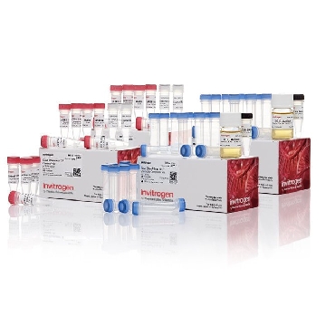 TA CLONING DUAL/TOP 40 RXN，K206040，Invitrogen