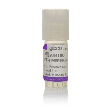 CF-1 MEFS 2 MILLION，A34180，Invitrogen