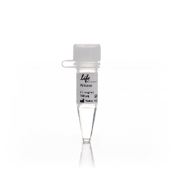 PIK3CD⁄PIK3R1 (P110 DELTA⁄ 100ug，PV6452，Invitrogen