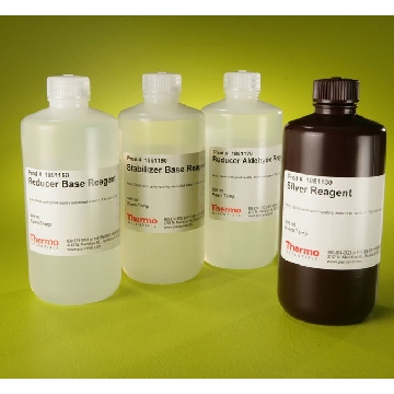 SILVERSNAP COLOR SILVER STAIN KIT，24597，赛默飞世尔