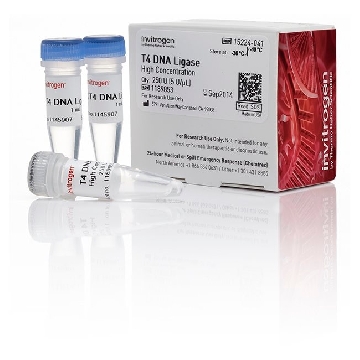 T4 DNA LIGASE 5U/UL 250U，15224041，Invitrogen