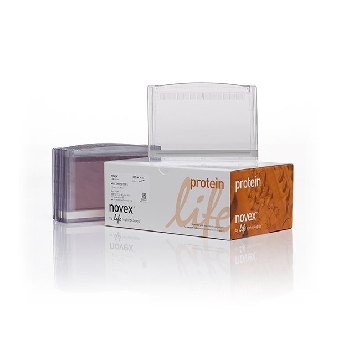 MIDI CASSETTE W/COMB 12+2W 1 KIT，WC1012，Invitrogen