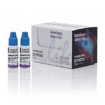 ALIGNFLOW FOR BLUE LASERS 6 2x1.5 ML，A16503，Invitrogen