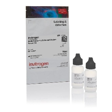 READY PROBES AV-BIOTIN BLOCK 1 KIT，R37627，Applied Biosystems