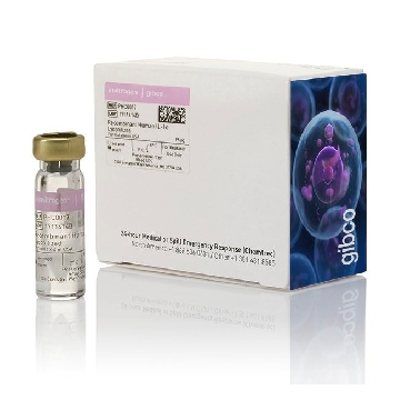 REC HU IL 1ALPHA 25 UG BIOSOURCE (TM)，PHC0017，Invitrogen