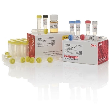 ZERO BLUNT TOPO/ EC (25) 25 RXN，K286020，Invitrogen