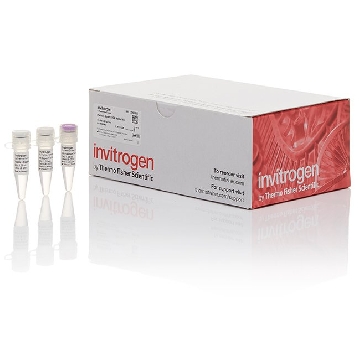 PLATINUM SUPERFI MASTER MIX 500 RXNS，12358050，Applied Biosystems
