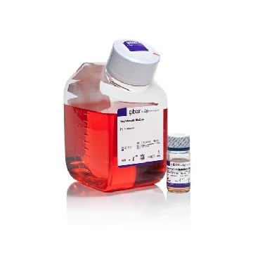 PSC NEURAL INDUCTION MEDIUM KIT，A1647801，Invitrogen