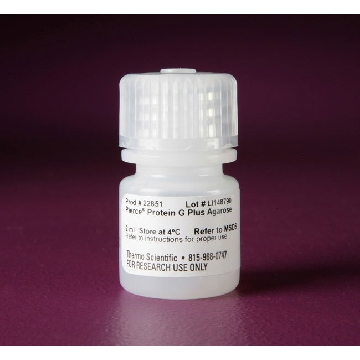 PIERCE PROTEIN G PLUS AGAROSE, 2 ML.，22851，赛默飞世尔
