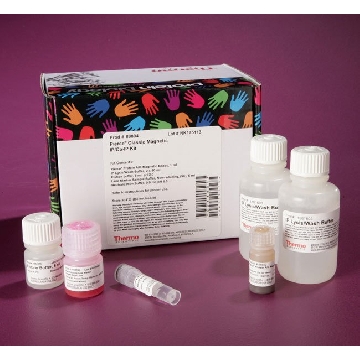 PIERCE CLASSIC MAGNETIC IP/CO-IP KIT，88804，赛默飞世尔