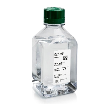 Transfer SKU 1 M TRIS, PH 7.0 500 ML EACH，AM9851，赛默飞世尔