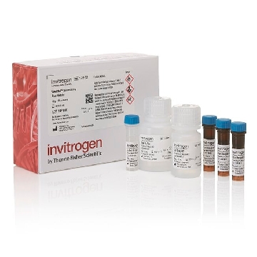 VIEWRNA TISSUE, BLUE MODULE KIT，19932，Affymetrix