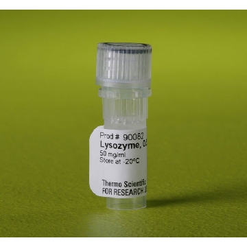 LYSOZYME (50 MG/ML), 0.5 ML EA，90082，赛默飞世尔