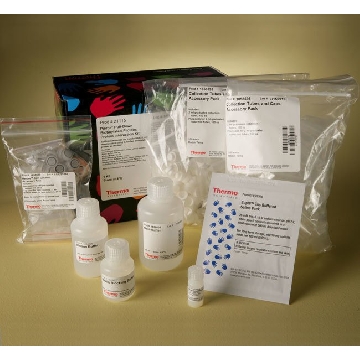 PIERCE PULL-DOWN BIOTINYLATED-PROTEIN:PROTEIN，21115，赛默飞世尔