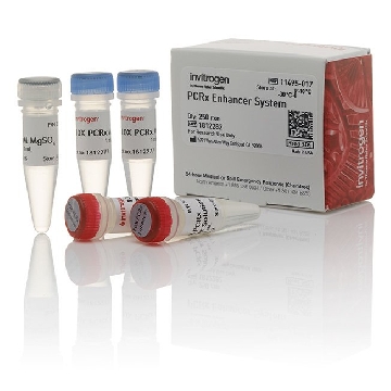 PCRX ENHANCER SYSTEM 250 RXN                52395，11495017，Invitrogen