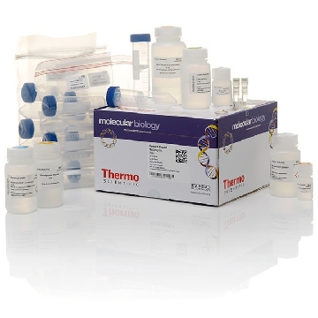 GENEJET PLASMID MAXIPREP KIT EA，K0491，赛默飞世尔