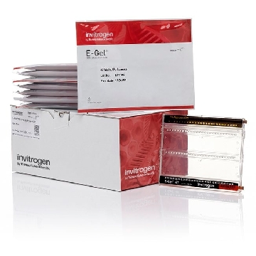 E-GEL 48 1% AGAROSE 8-PAK，G800801，Invitrogen