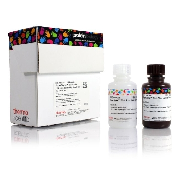 SUPERSIGNAL WEST ATTO TRIAL SI 20ML KIT，A38554，赛默飞世尔