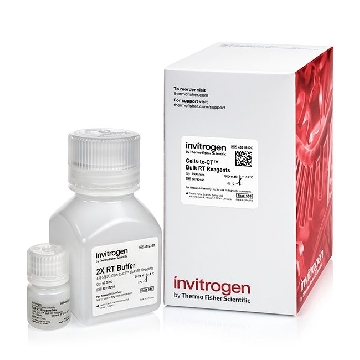 Transfer SKU CUST CELLS TO CT RT COMPONENTS EACH，4391852C，赛默飞世尔