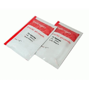 E-GEL GO 2% GELS 10 pack，G441002，Invitrogen